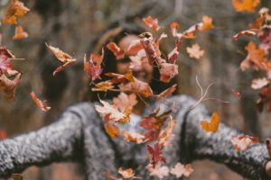 Ganzheitliche Hautpflege im Herbst